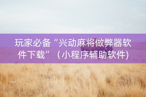 玩家必备“兴动麻将做弊器软件下载”（小程序辅助软件)