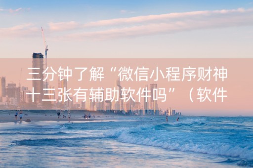 三分钟了解“微信小程序财神十三张有辅助软件吗”（软件出售)