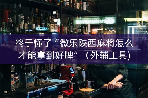 终于懂了“微乐陕西麻将怎么才能拿到好牌”（外辅工具)