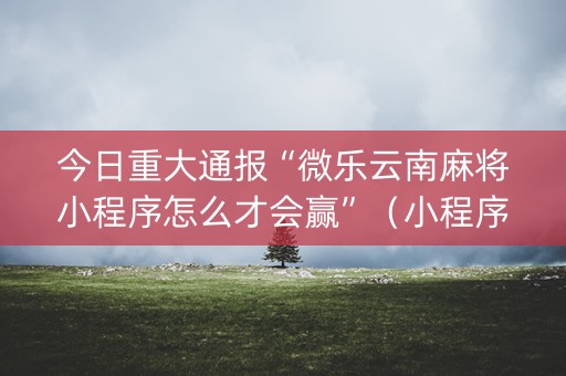 今日重大通报“微乐云南麻将小程序怎么才会赢”（小程序辅助软件)