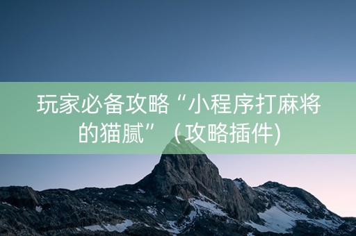 玩家必备攻略“小程序打麻将的猫腻”（攻略插件)