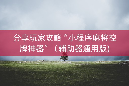 分享玩家攻略“小程序麻将控牌神器”（辅助器通用版)