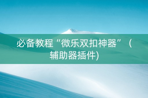 必备教程“微乐双扣神器”（辅助器插件)
