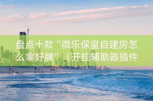 盘点十款“微乐保皇自建房怎么拿好牌”（开挂辅助器插件)