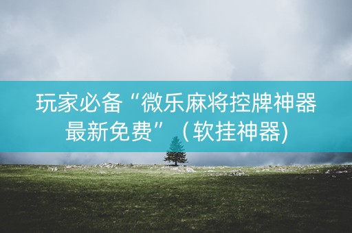 玩家必备“微乐麻将控牌神器最新免费”（软挂神器)