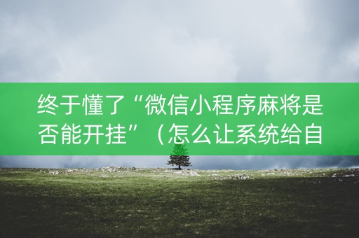 终于懂了“微信小程序麻将是否能开挂”（怎么让系统给自己好牌)