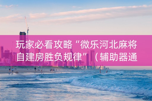玩家必看攻略“微乐河北麻将自建房胜负规律”（辅助器通用版)