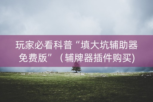 玩家必看科普“填大坑辅助器免费版”（辅牌器插件购买)