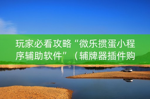 玩家必看攻略“微乐掼蛋小程序辅助软件”（辅牌器插件购买)