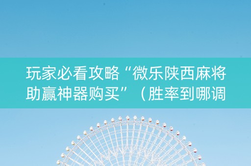 玩家必看攻略“微乐陕西麻将助赢神器购买”（胜率到哪调)