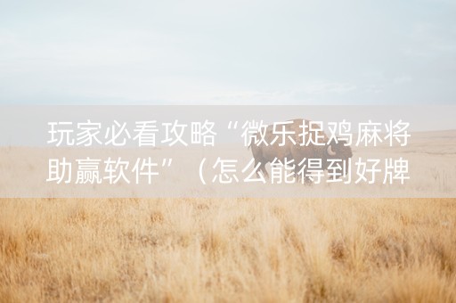 玩家必看攻略“微乐捉鸡麻将助赢软件”（怎么能得到好牌)