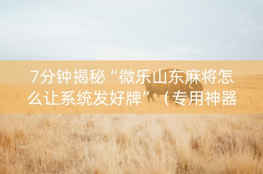 7分钟揭秘“微乐山东麻将怎么让系统发好牌”（专用神器)