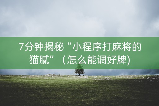 7分钟揭秘“小程序打麻将的猫腻”（怎么能调好牌)