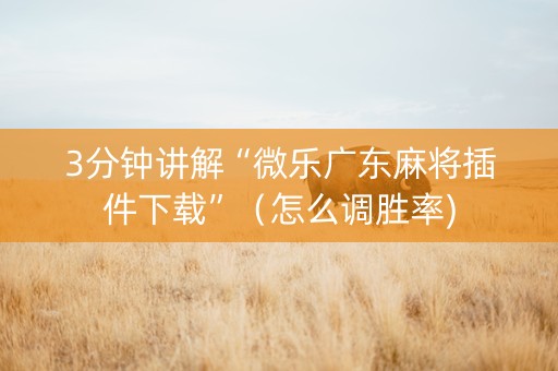 3分钟讲解“微乐广东麻将插件下载”（怎么调胜率)