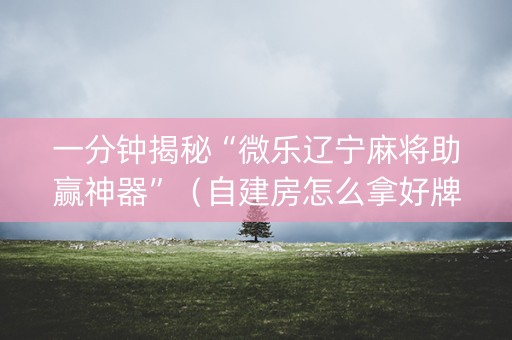 一分钟揭秘“微乐辽宁麻将助赢神器”（自建房怎么拿好牌)