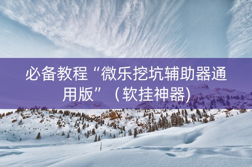 必备教程“微乐挖坑辅助器通用版”（软挂神器)