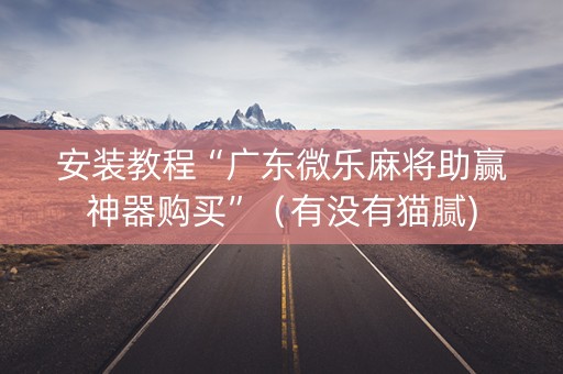 安装教程“广东微乐麻将助赢神器购买”（有没有猫腻)