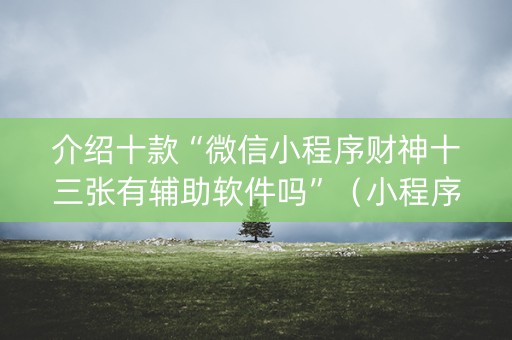 介绍十款“微信小程序财神十三张有辅助软件吗”（小程序辅助软件)