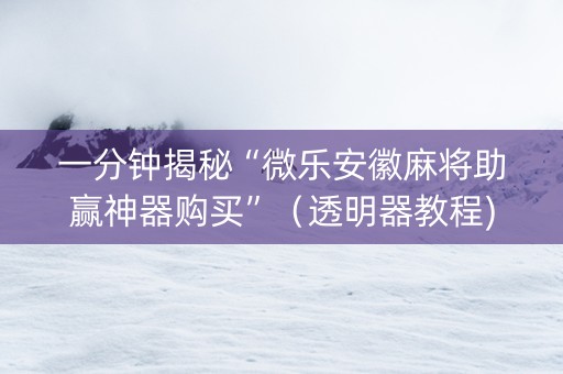 一分钟揭秘“微乐安徽麻将助赢神器购买”（透明器教程)