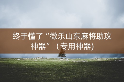 终于懂了“微乐山东麻将助攻神器”（专用神器)