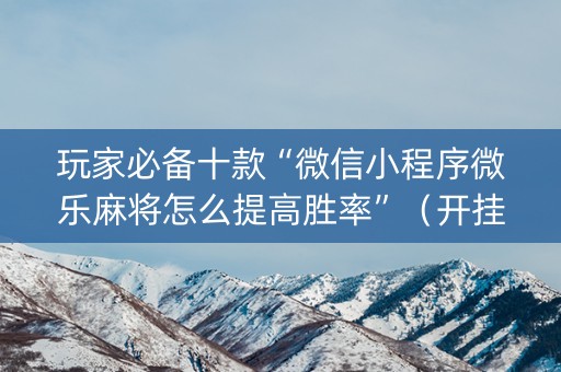 玩家必备十款“微信小程序微乐麻将怎么提高胜率”（开挂辅助插件)