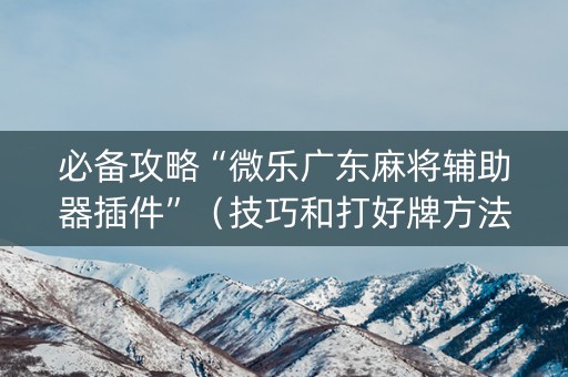 必备攻略“微乐广东麻将辅助器插件”（技巧和打好牌方法)