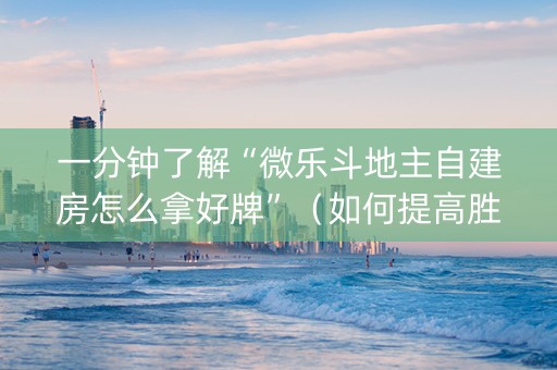 一分钟了解“微乐斗地主自建房怎么拿好牌”（如何提高胜率)