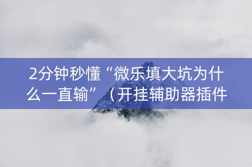 2分钟秒懂“微乐填大坑为什么一直输”（开挂辅助器插件)