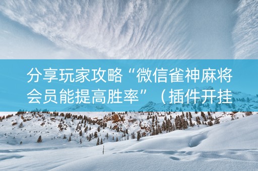 分享玩家攻略“微信雀神麻将会员能提高胜率”（插件开挂免费AI)