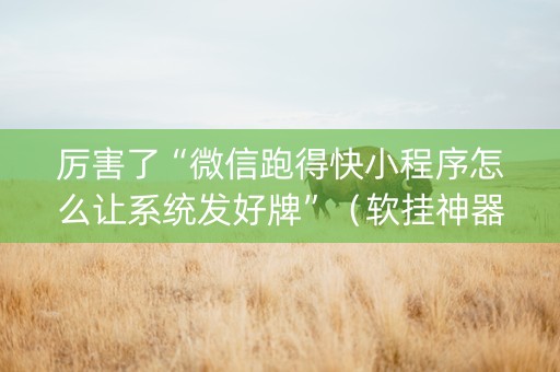 厉害了“微信跑得快小程序怎么让系统发好牌”（软挂神器)