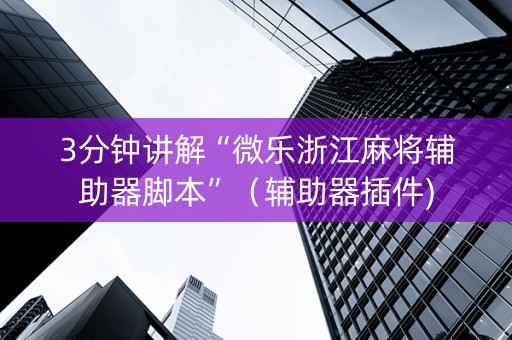3分钟讲解“微乐浙江麻将辅助器脚本”（辅助器插件)