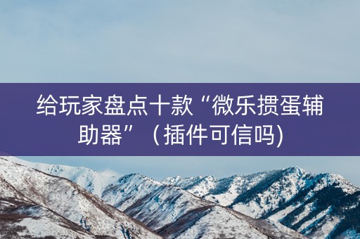 给玩家盘点十款“微乐掼蛋辅助器”（插件可信吗)