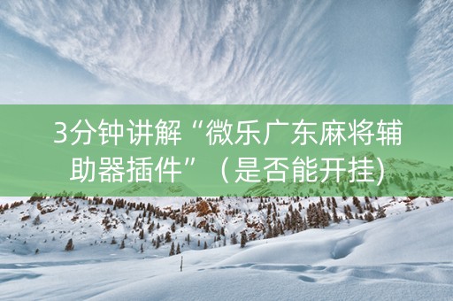 3分钟讲解“微乐广东麻将辅助器插件”（是否能开挂)