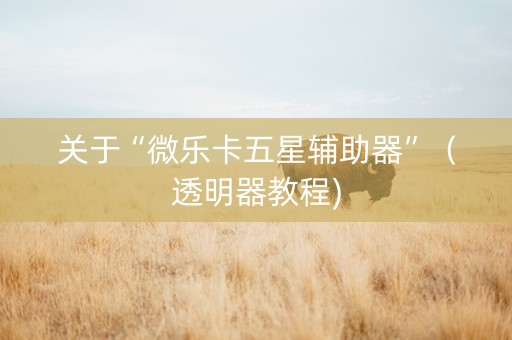 关于“微乐卡五星辅助器”（透明器教程)