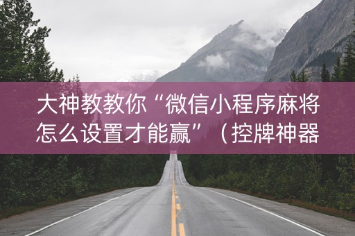 大神教教你“微信小程序麻将怎么设置才能赢”（控牌神器)