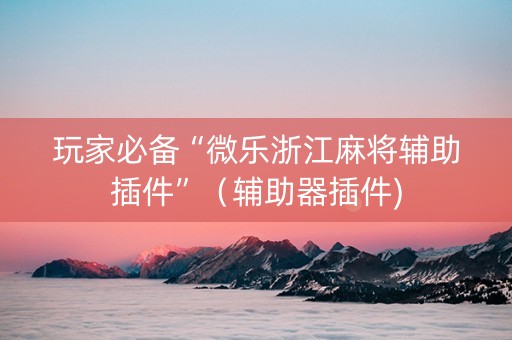 玩家必备“微乐浙江麻将辅助插件”（辅助器插件)