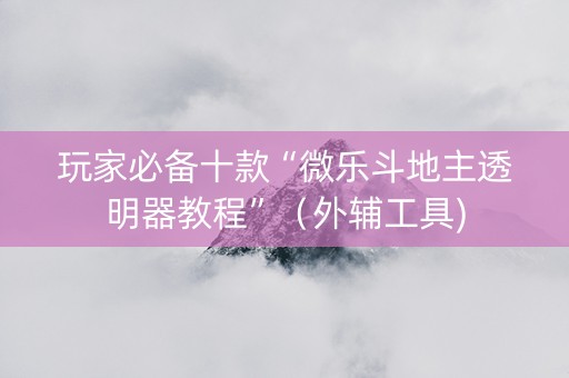 玩家必备十款“微乐斗地主透明器教程”（外辅工具)