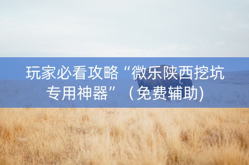 玩家必看攻略“微乐陕西挖坑专用神器”（免费辅助)