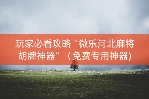玩家必看攻略“微乐河北麻将胡牌神器”（免费专用神器)
