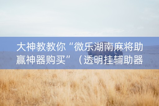 大神教教你“微乐湖南麻将助赢神器购买”（透明挂辅助器)