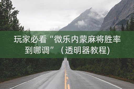 玩家必看“微乐内蒙麻将胜率到哪调”（透明器教程)