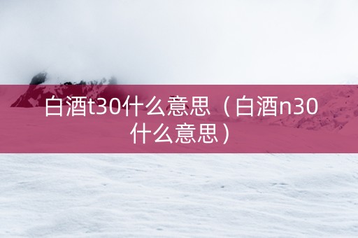白酒t30什么意思（白酒n30什么意思）