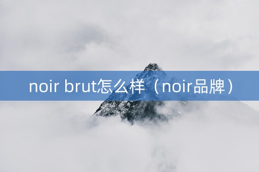 noir brut怎么样（noir品牌）