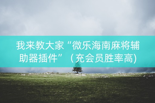 我来教大家“微乐海南麻将辅助器插件”（充会员胜率高)