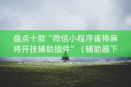 盘点十款“微信小程序雀神麻将开挂辅助插件”（辅助器下载)