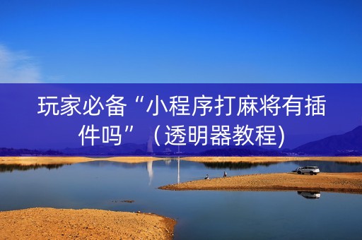 玩家必备“小程序打麻将有插件吗”（透明器教程)