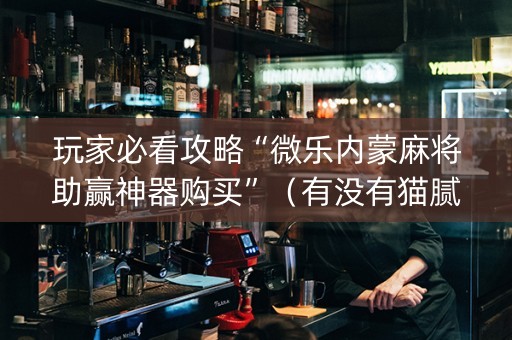 玩家必看攻略“微乐内蒙麻将助赢神器购买”（有没有猫腻)