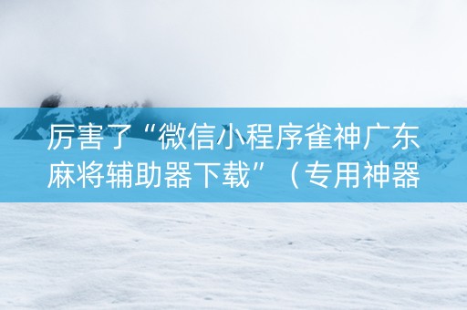 厉害了“微信小程序雀神广东麻将辅助器下载”（专用神器下载)