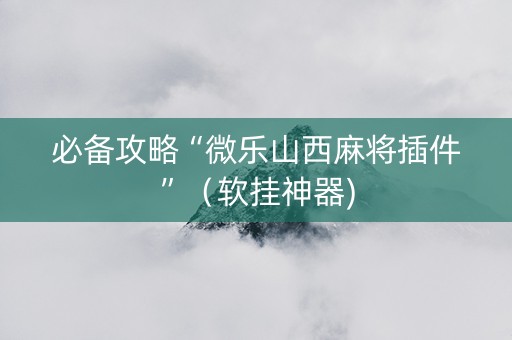 必备攻略“微乐山西麻将插件”（软挂神器)