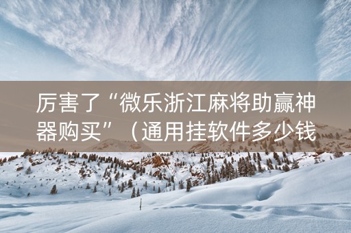 厉害了“微乐浙江麻将助赢神器购买”（通用挂软件多少钱)